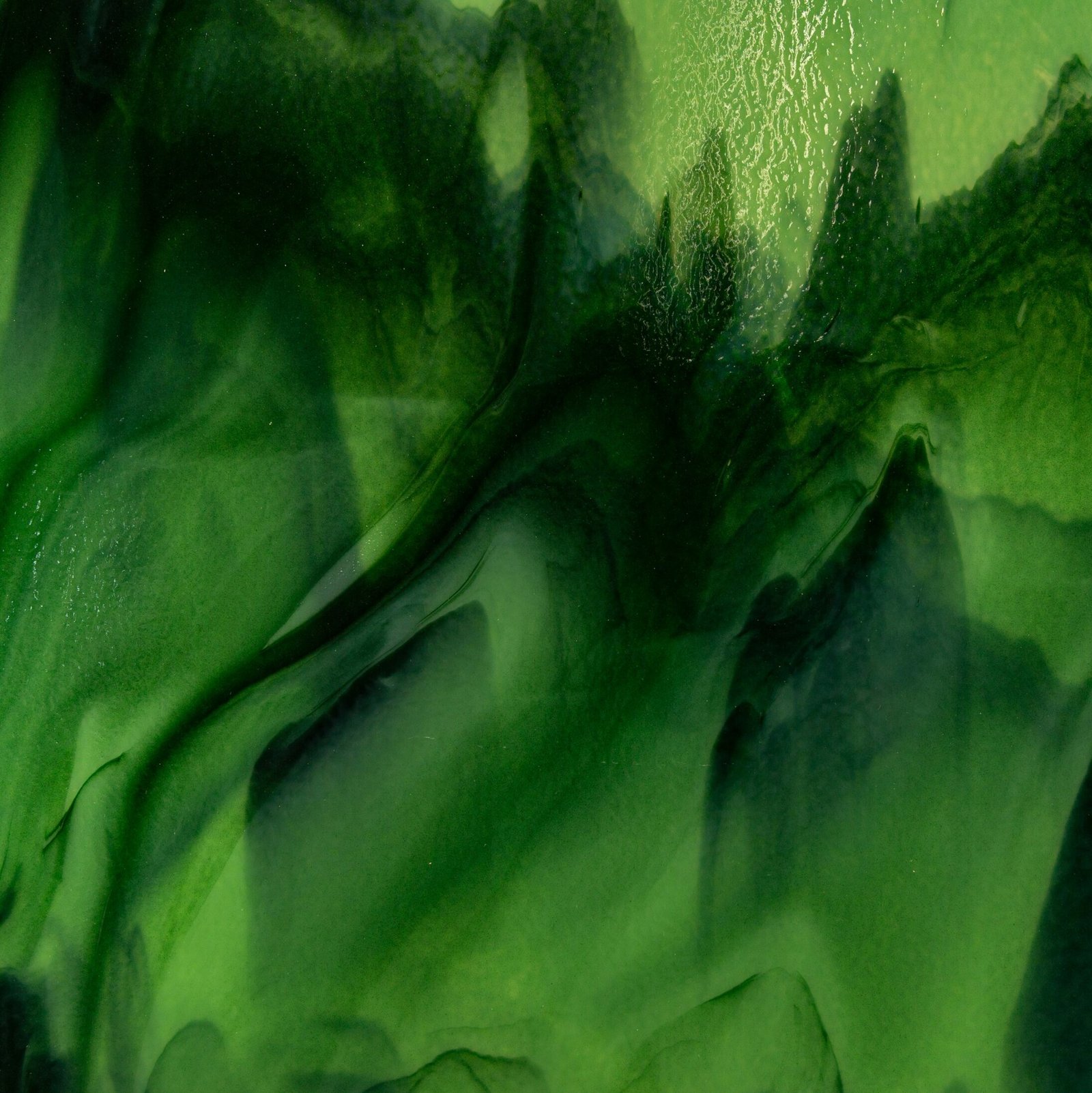 wilhelm gunkel ly4vv6hht a unsplash